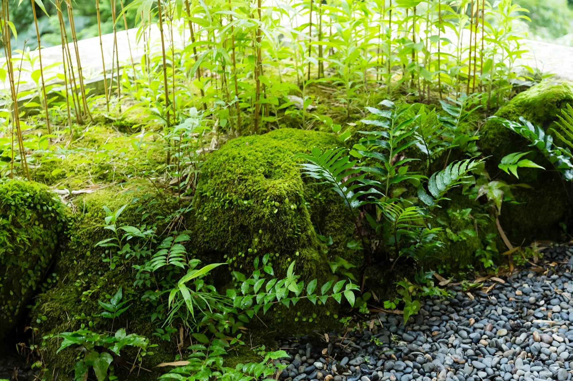 Hakone Yumoto Onsen Hotel Kajikaso Eksteriør bilde