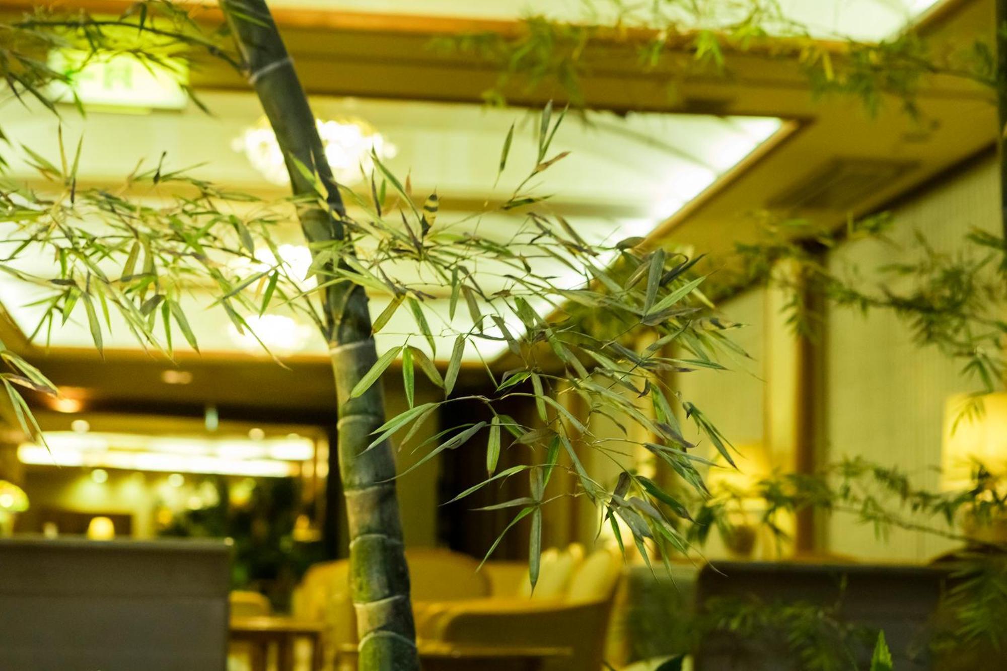 Hakone Yumoto Onsen Hotel Kajikaso Eksteriør bilde
